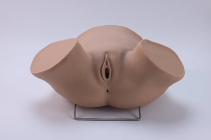 Posterior Fornix Puncture Training Model