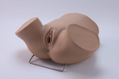 Posterior Fornix Puncture Training Model