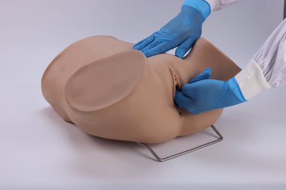 Posterior Fornix Puncture Training Model