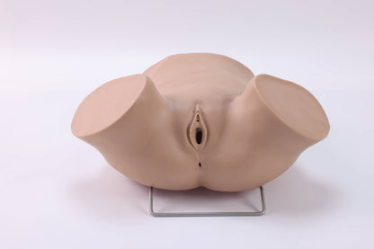 Umbilical Cord Prolapse Training Model