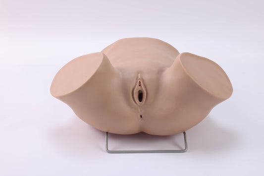 Umbilical Cord Prolapse Training Model