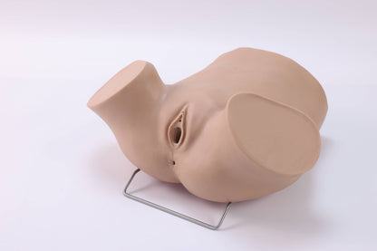 Umbilical Cord Prolapse Training Model