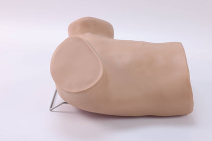 Umbilical Cord Prolapse Training Model