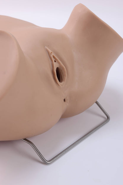 Umbilical Cord Prolapse Training Model