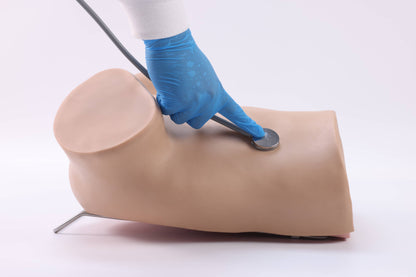 Umbilical Cord Prolapse Training Model