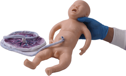 Pelvis and Fetus Training Suits
