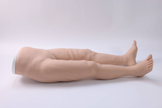 Pelvic Measurement Training Model