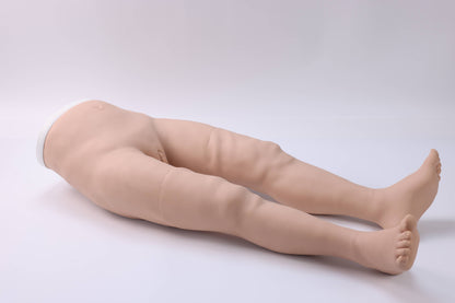 Pelvic Measurement Training Model