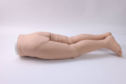 Pelvic Measurement Training Model