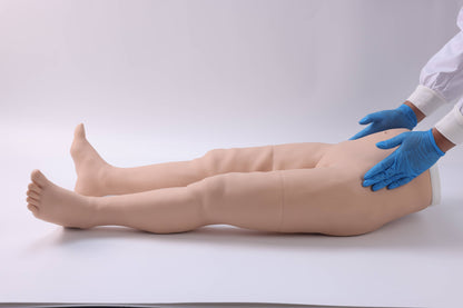 Pelvic Measurement Training Model