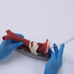 Oral Anatomie and Airway Demonstration Model