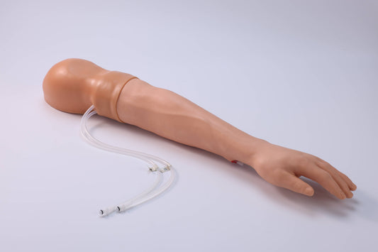 Upper Limb Hemostasis Training Model( Electric)