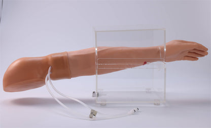 Upper Limb Hemostasis Training Model( Electric)
