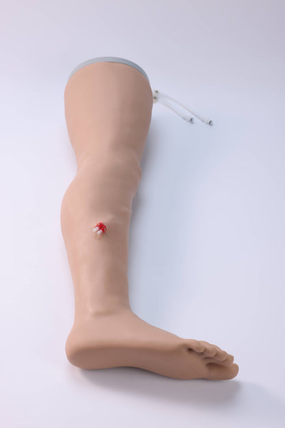 Lower Limb Hemostasis Training Model( Electric)