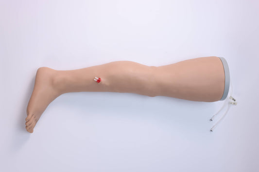 Lower Limb Hemostasis Training Model( Electric)