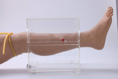 Lower Limb Hemostasis Training Model( Electric)