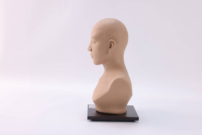 Head Trauma Hemostasis Training  Model