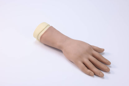 Wrist and Palm Joint Block  Model