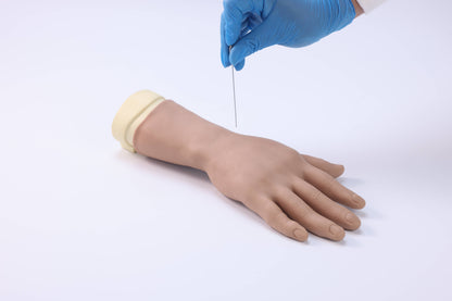 Wrist and Palm Joint Block  Model