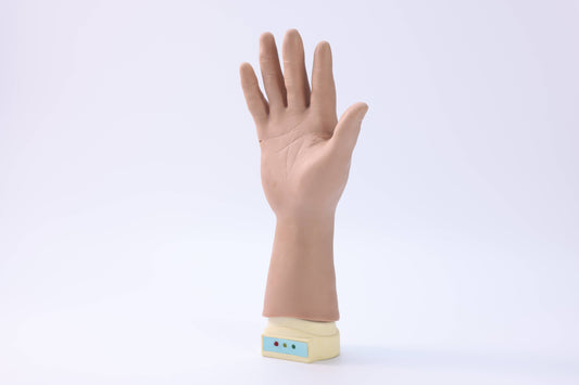 Wrist and Palm Joint Block  Model