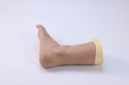 Foot and Ankle Joint Block  Model