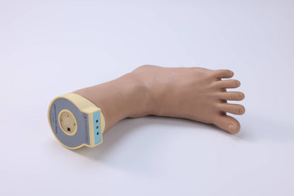 Foot and Ankle Joint Block  Model