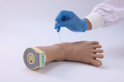 Foot and Ankle Joint Block  Model