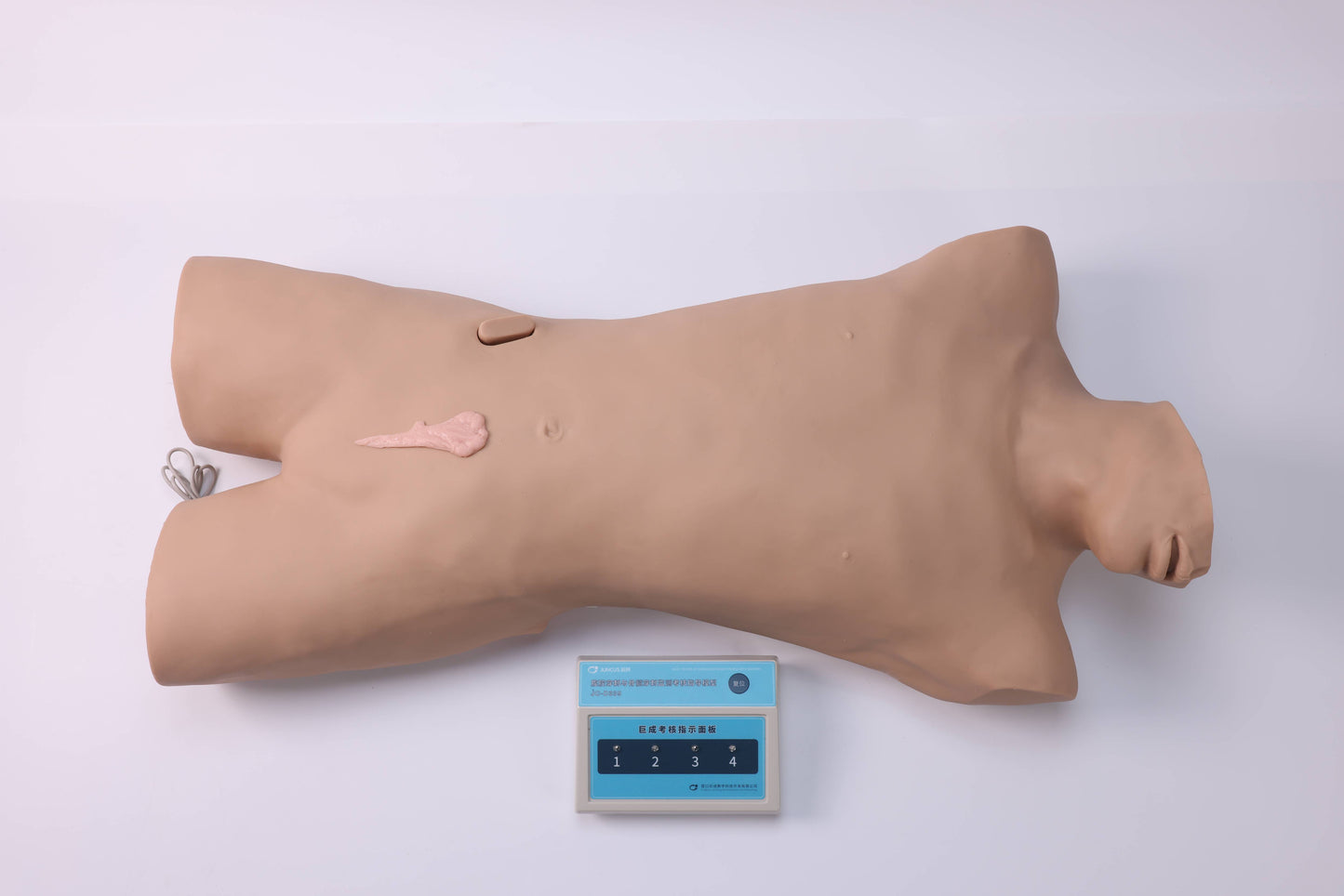 Abdominal and Bone Marrow Aspiration Monitoring and Assessment Model