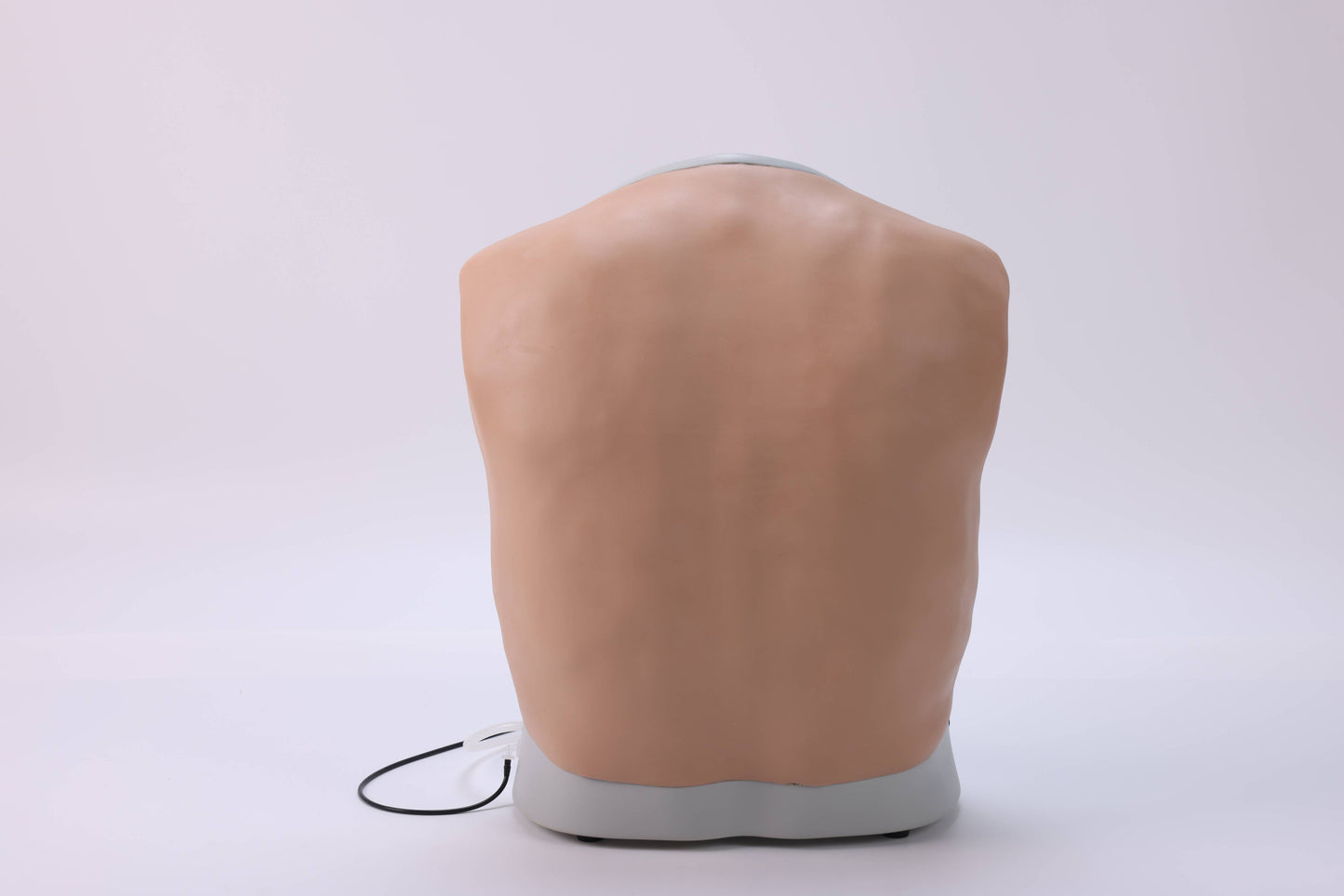 Thoracentesis Training Model