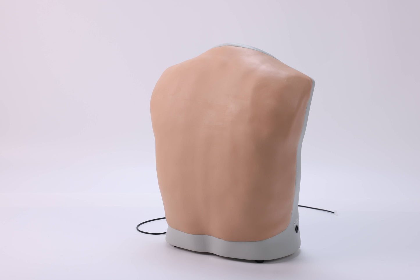Thoracentesis Training Model