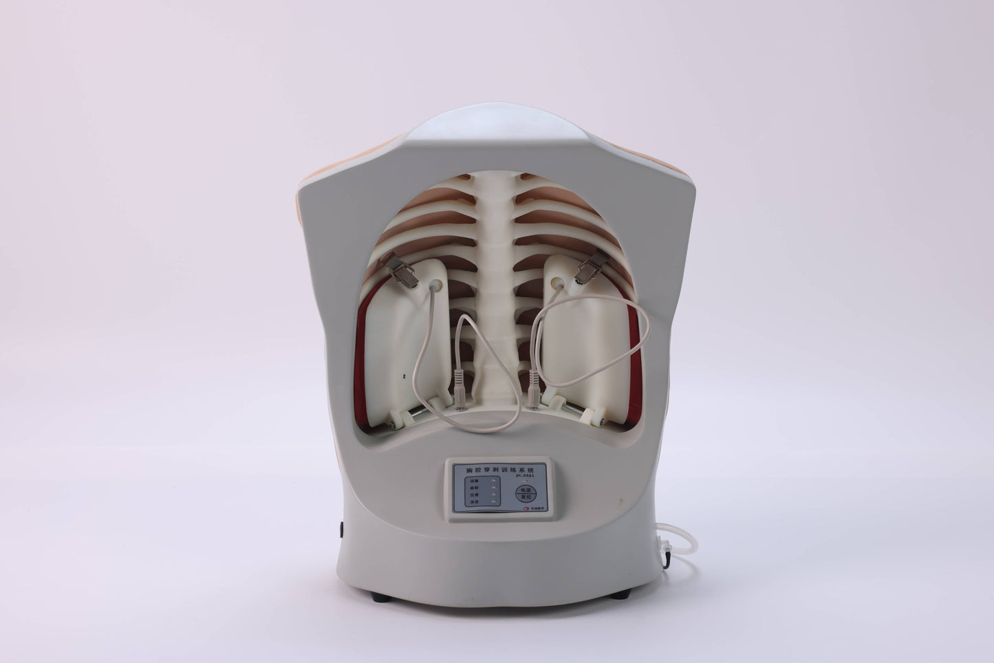 Thoracentesis Training Model