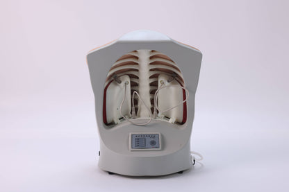 Thoracentesis Training Model