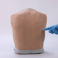 Thoracentesis Training Model