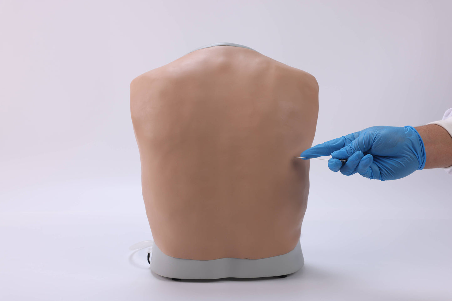 Thoracentesis Training Model