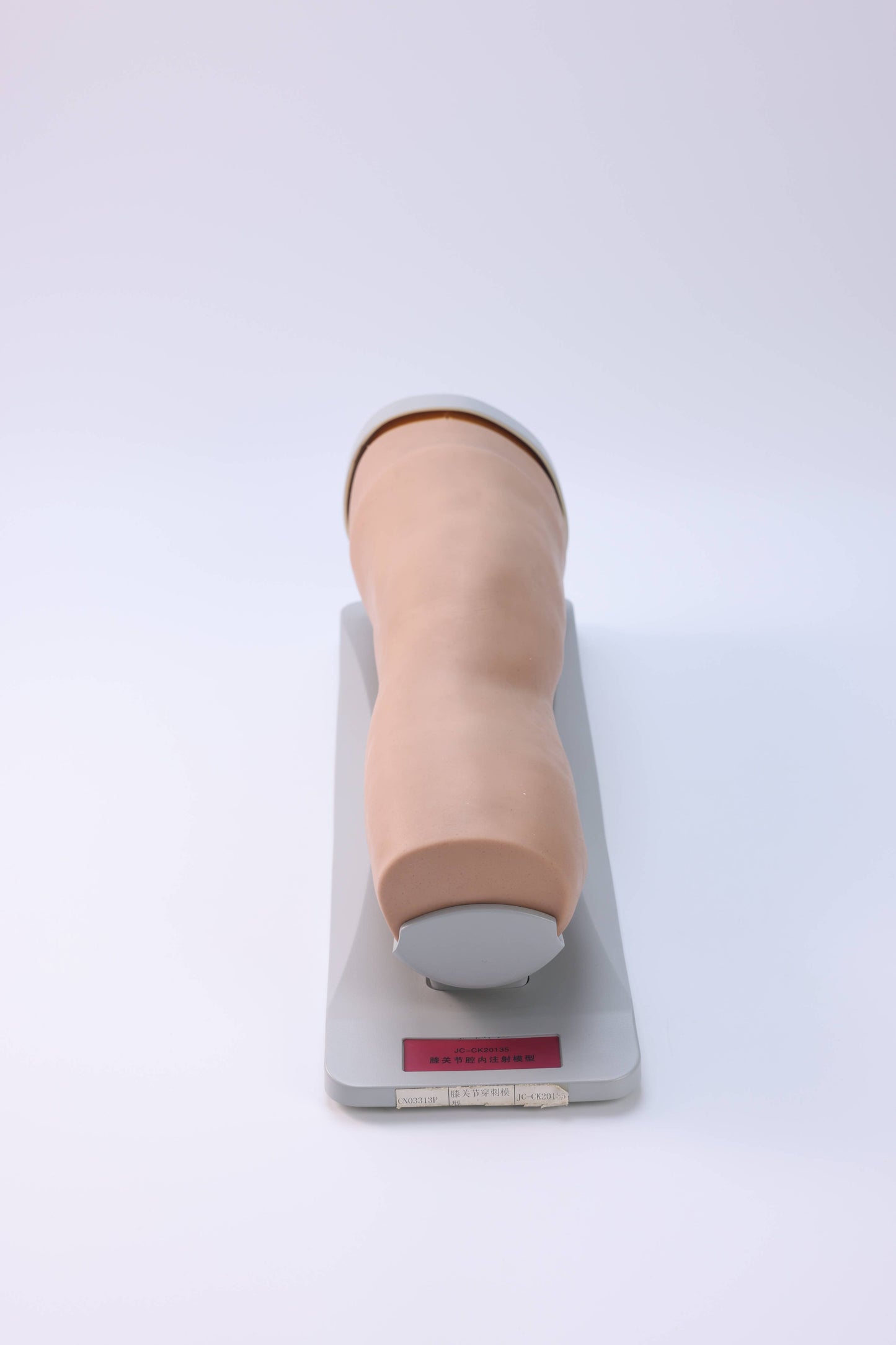 Knee Joint Aspiration Model