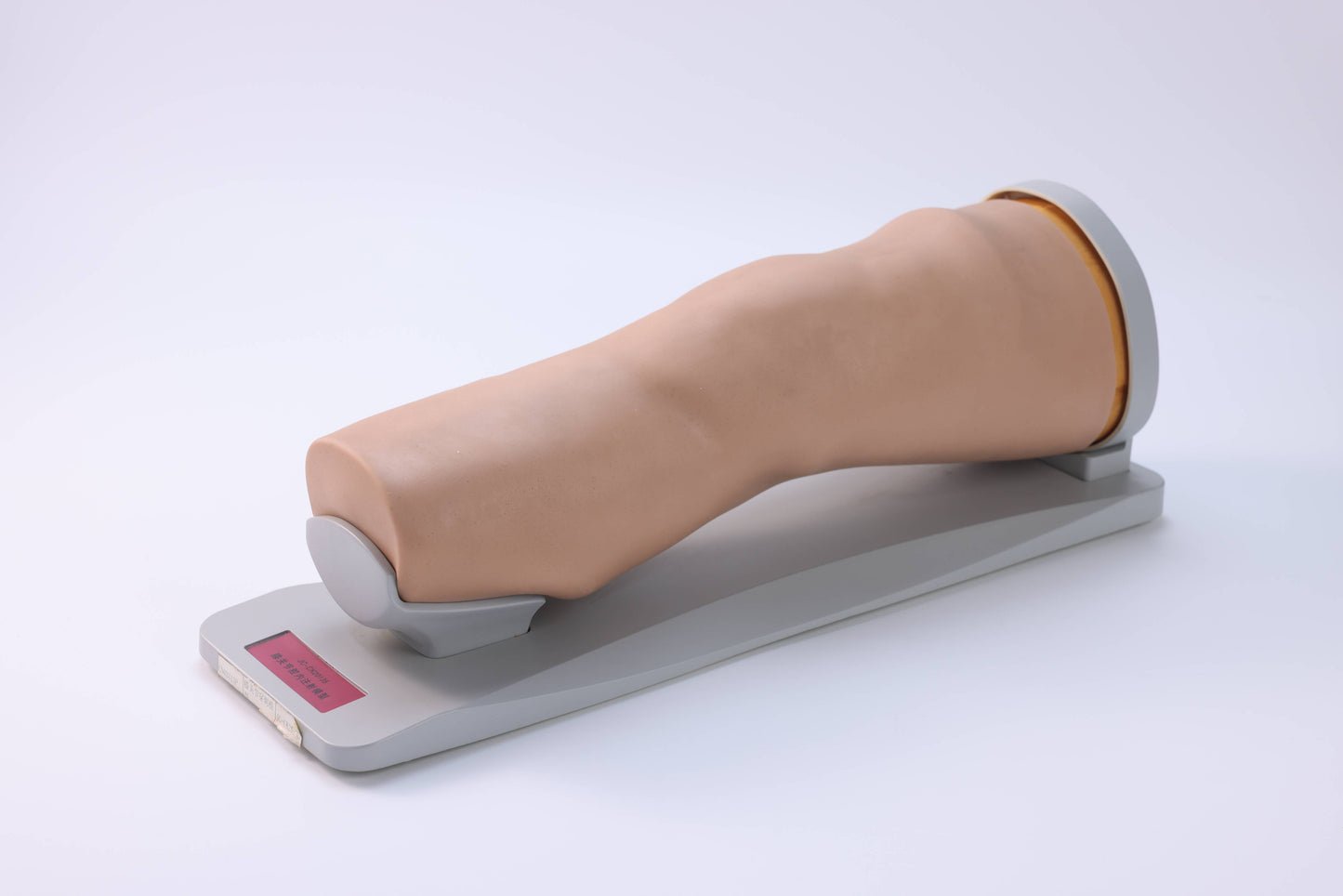 Knee Joint Aspiration Model