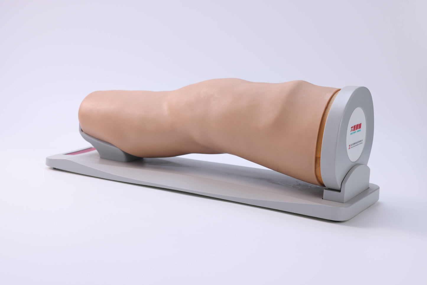 Knee Joint Aspiration Model