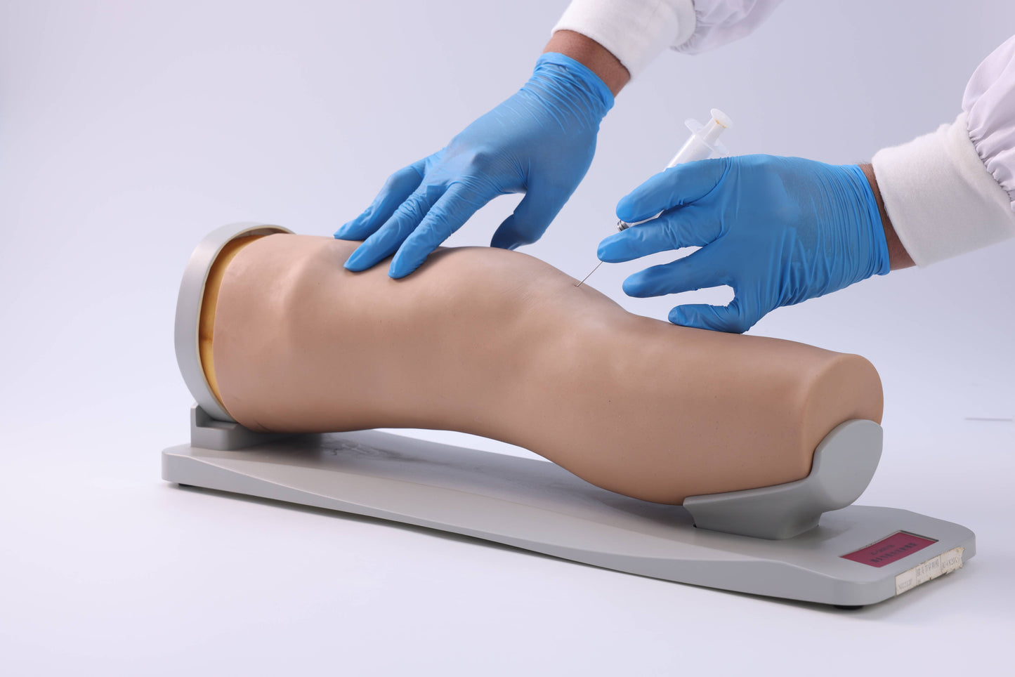 Knee Joint Aspiration Model