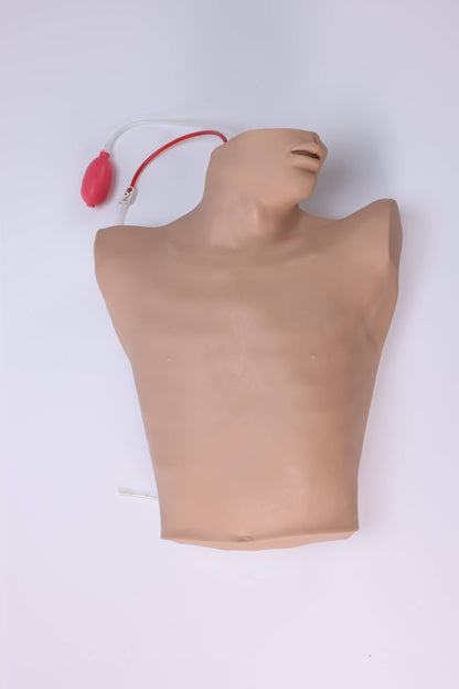 Central Venous Puncture &amp; Catheterization Model