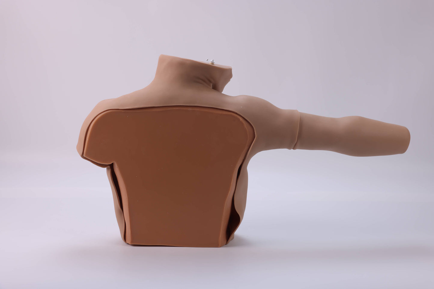 Peripheral Venous Puncture &amp; Catheterization Model