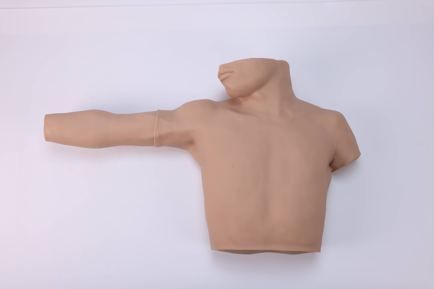 Peripheral Venous Puncture &amp; Catheterization Model