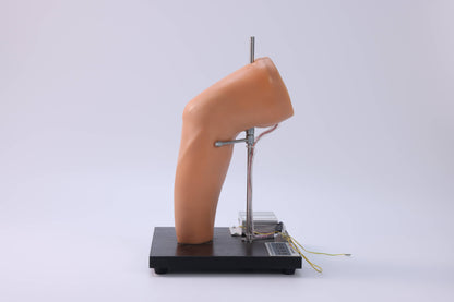 Elbow Joint Puncture Model