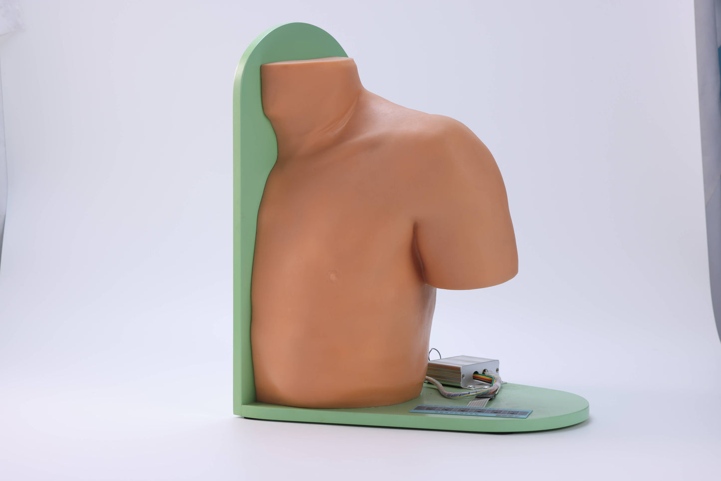 Shoulder Joint Puncture Model