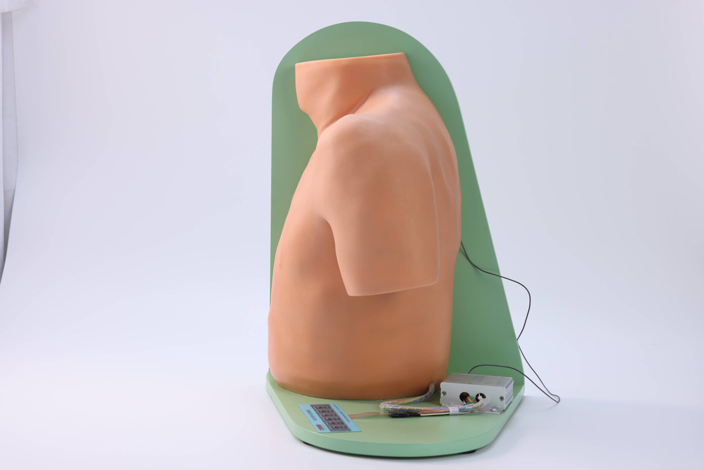 Shoulder Joint Puncture Model