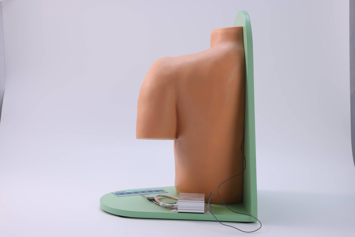 Shoulder Joint Puncture Model