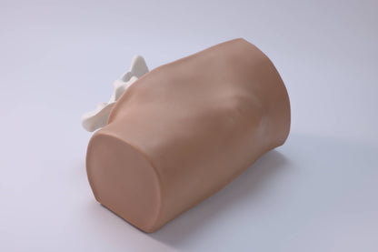 Anterior Superior Iliac Spine Aspiration Model