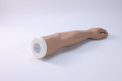 Forearm Fracture  Model