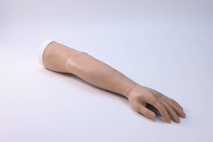 Forearm Fracture  Model