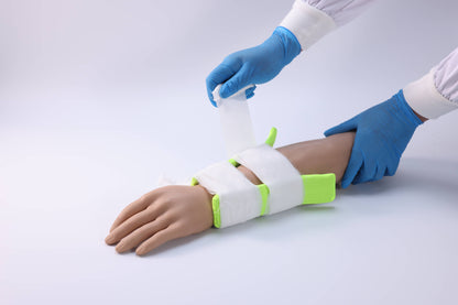 Forearm Fracture  Model