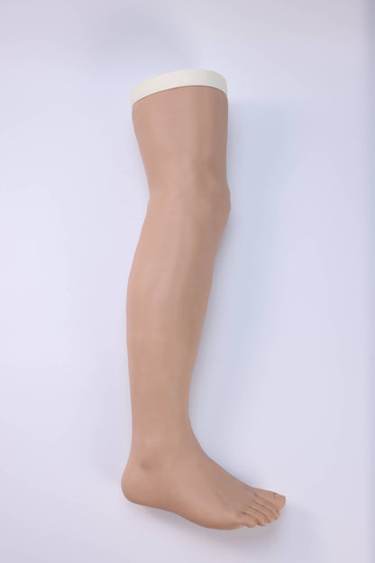 Lower Leg  Fracture  Model